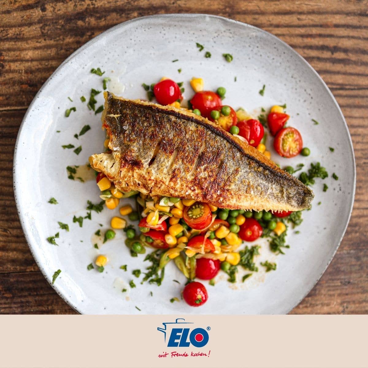 Elo - Wholesale Kitchen Tool/Gadget - Glass and carbon steel cooking lid for stoves3