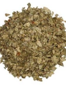 Birch leaf (Betula alba) 1kg for wholesale by CADUCEUS kruidenapotheek