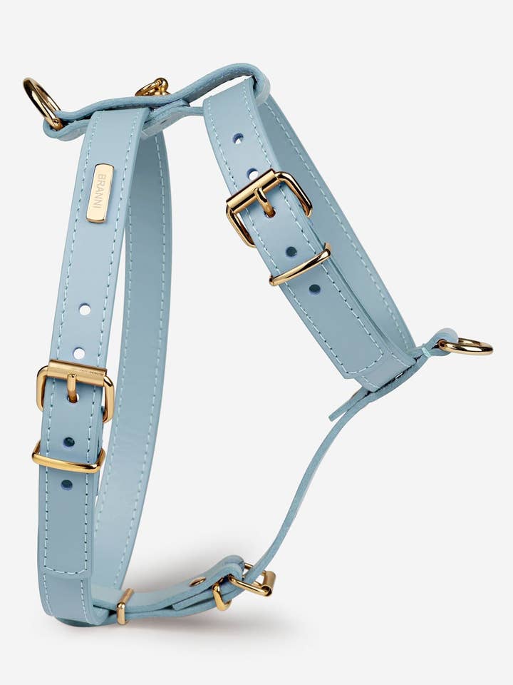 NARA LYSEBLÅT SELE for engroshandel hos Branni Pets