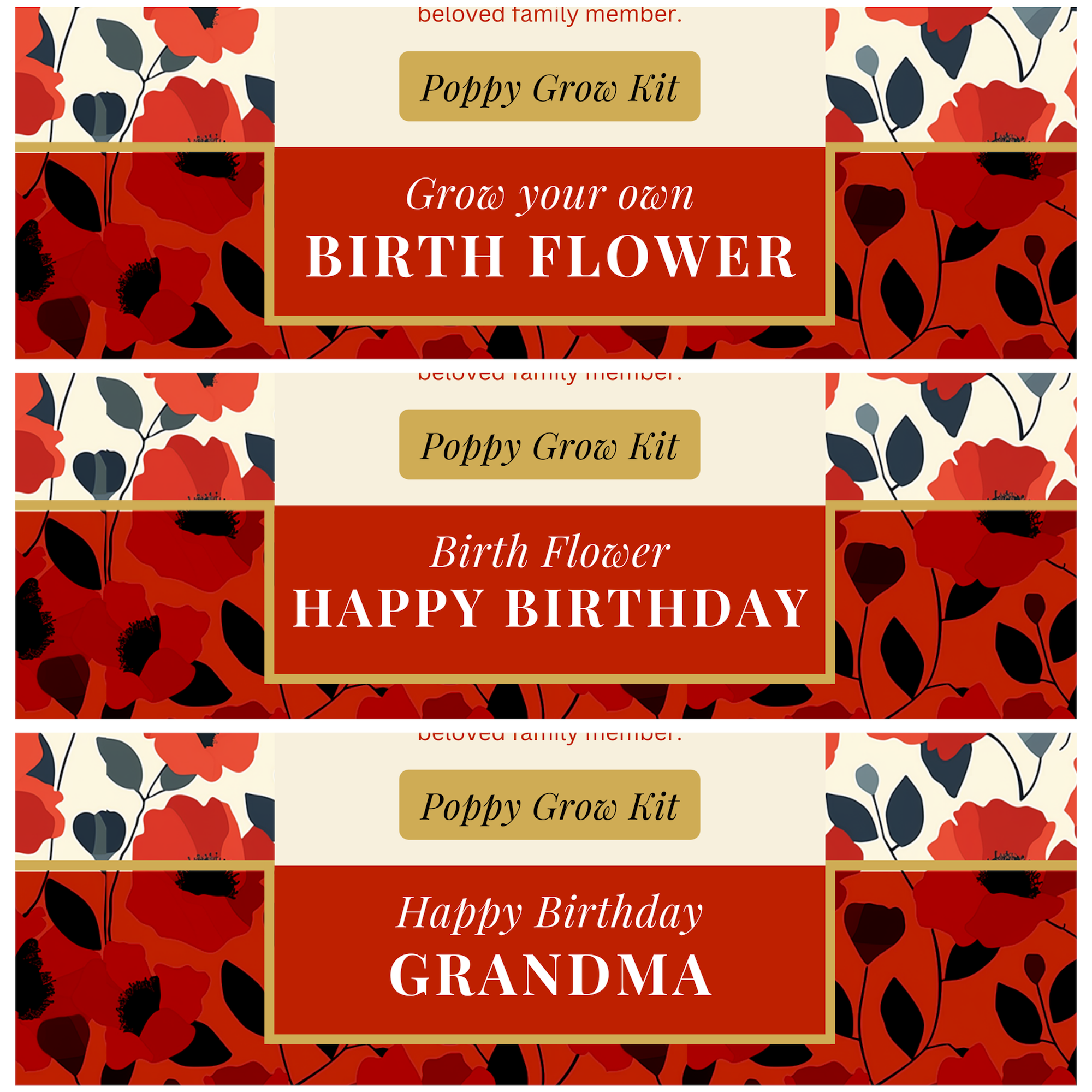 Alphabet Gifts – wholesale Plant seeds – August Birth Flower - Personalised Grow Your Own Flower Gift1