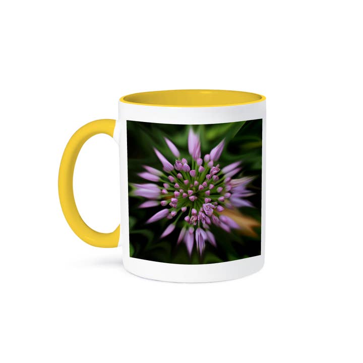 3dRose - Wholesale Coffee Mug - 3dRose, Macro photo of a flowering purple allium plant with a starburst effect, Mug