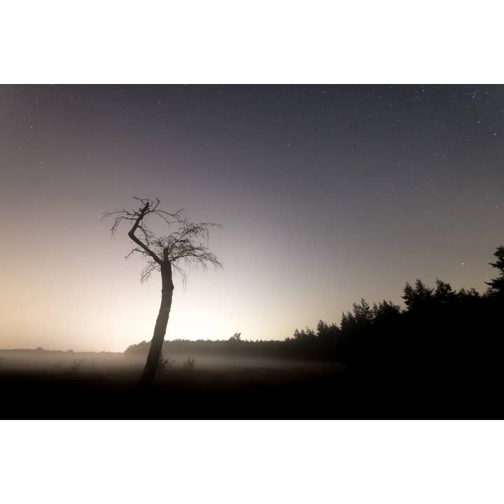 Mystere for wholesale by Barclay Mountain Candles