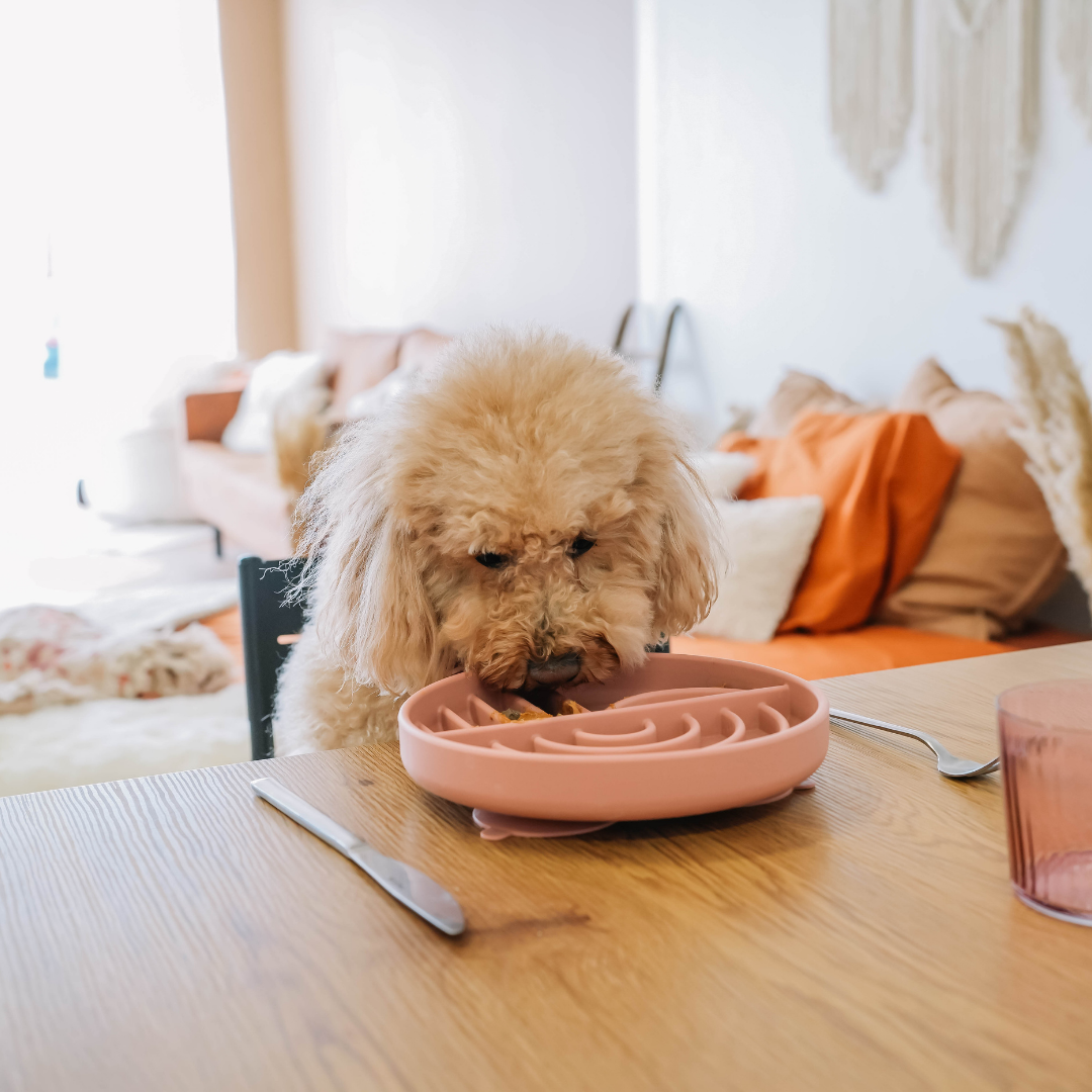 Babelle For Dogs - Wholesale Pet Food Mat - Dog - The Dreamy Lickmat - Old Rose 6