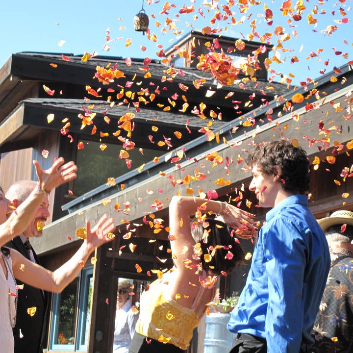 Flyboy Naturals Rose Petals - Wholesale Confetti - McLenglish Rose Petal Blend – 30 Cups of Color Wedding. USA6