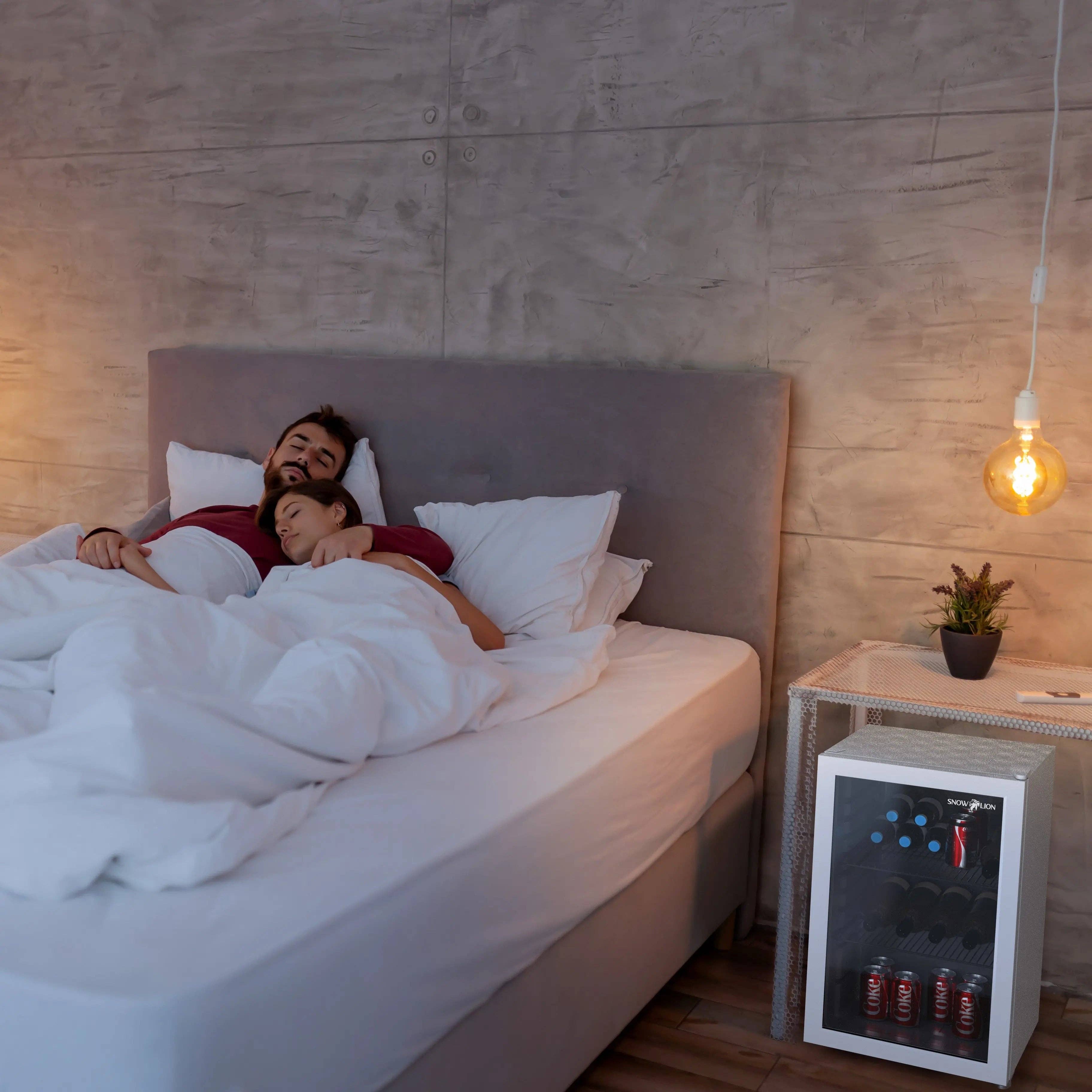 Promounts - Vente Réfrigérateur miniature/portable - Réfrigérateur à boissons SnowLion Premium 69L 2,4 pi³ Mini réfrigérateur autonome avec porte en verre, blanc5