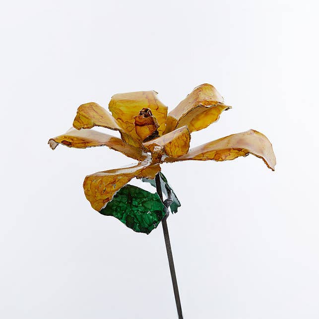 Gelbe Rose für den Großhandel von Bobbianne's Flowers