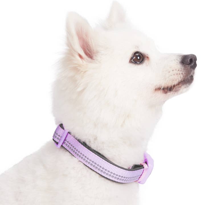 Blueberry Pet - Wholesale Pet Collar - Dog - 3M Reflective Soft Neoprene Padded Safety Dog Collar
