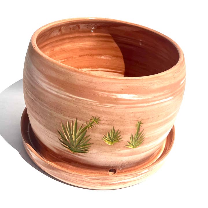 Maceta de terracota jaspeada con yuca para venta al por mayor de Ninth House Goods