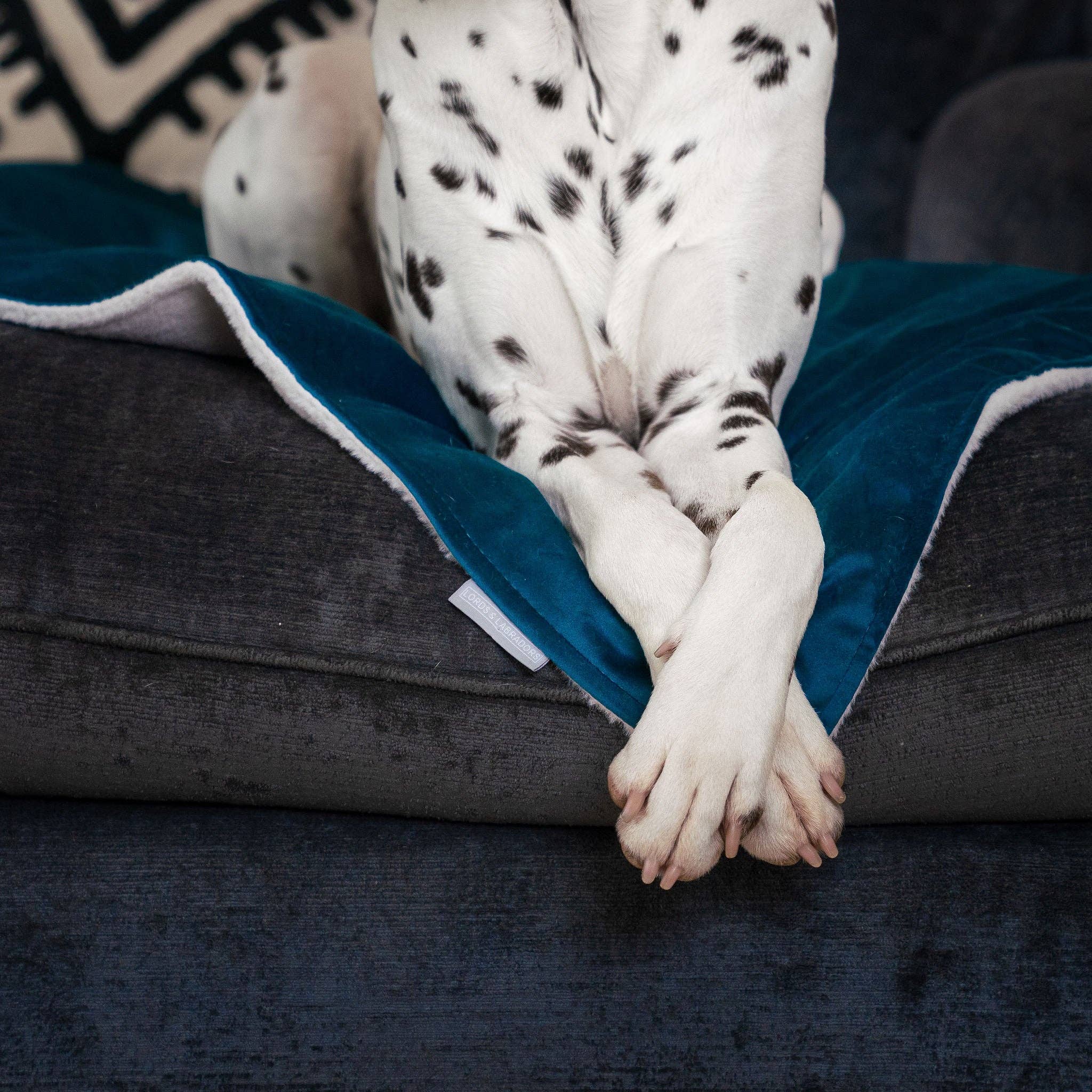 Terciopelo marino Manta de terciopelo marino para perros y cachorros de venta al por mayor en Faire2