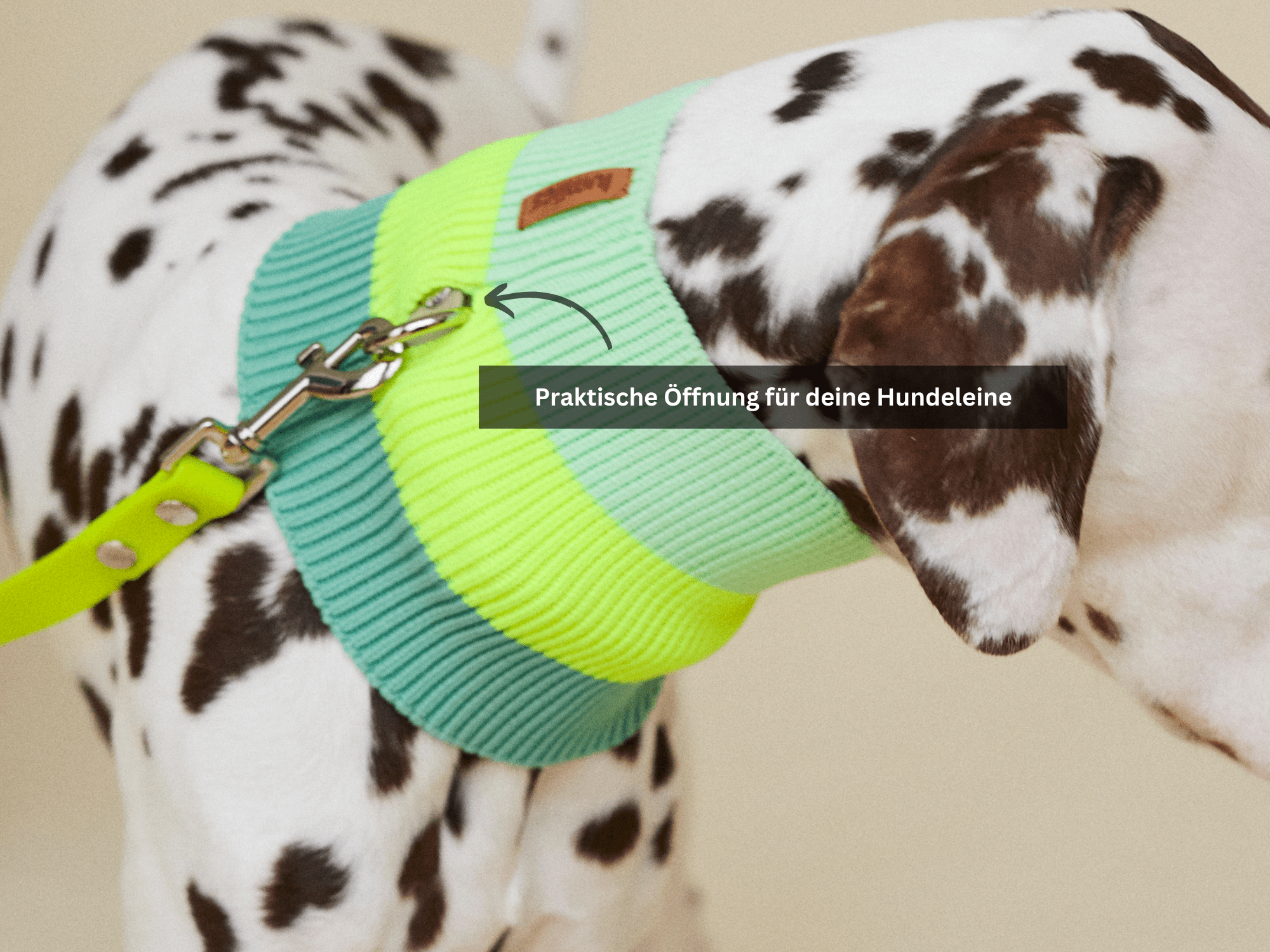 Pink Parade THE GLOW LOOP 2.0 - Neon Dog Scarf - (Pink Parade) for wholesale on Faire3