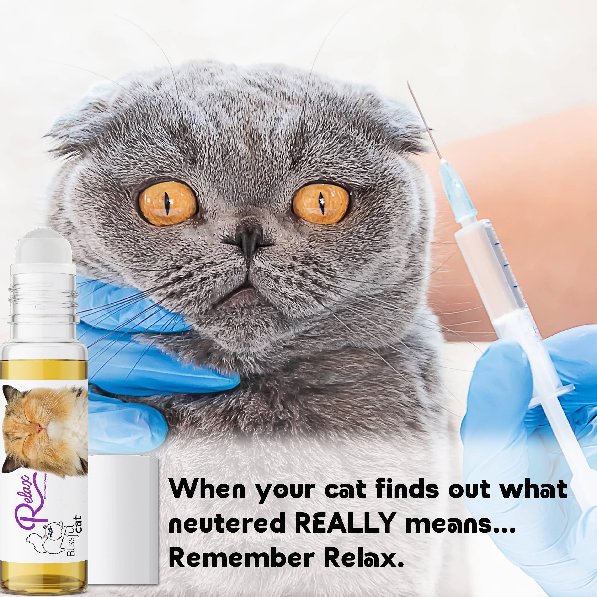 The Blissful Dog - Wholesale Pet Grooming Tool - Cat - The Blissful Cat Relax Aromatherapy Spray & Roll-on9