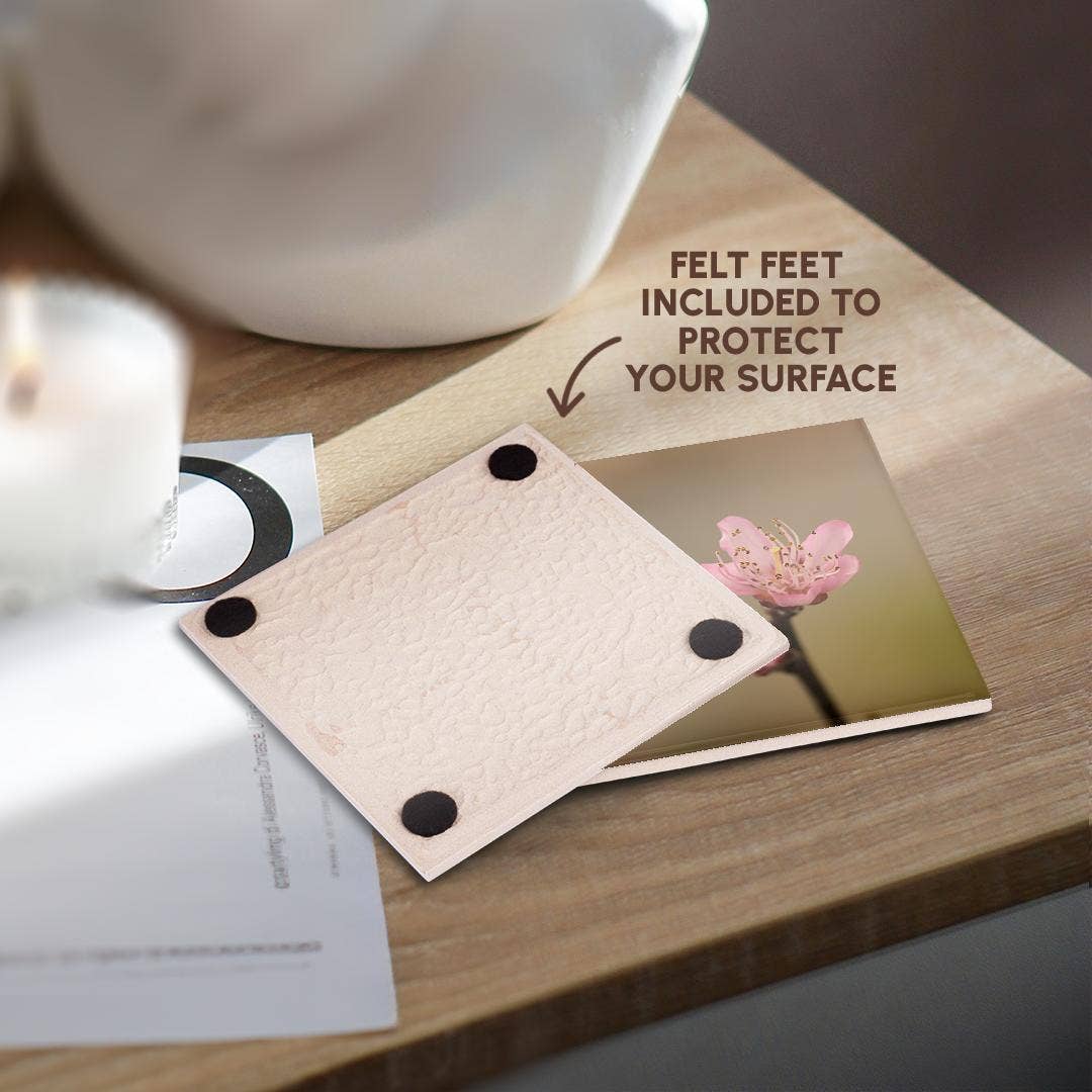 3dRose - Wholesale Coasters - 3dRose, Im a delicate fucking flower on a photograph of a peach tree blossom., Coaster3