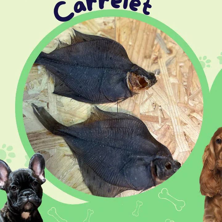 linguados inteiros / Guloseima para cão por atacado de JF animalerie