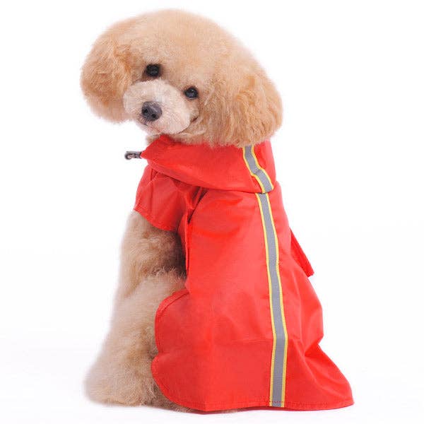 Rainy Day Safer for wholesale by Dogo Pet