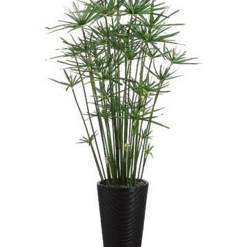 84"H x 28"W x 28"L Cypress Grass in Bamboo Container Green for wholesale by Silk Flower Depot