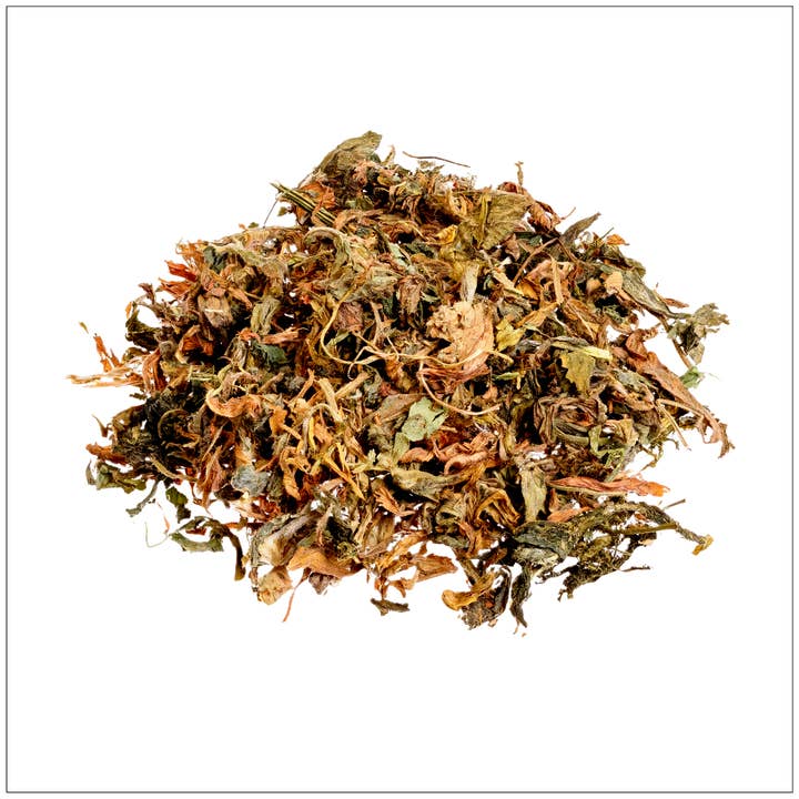 Alfalfa Leaf for wholesale by Alive Herbals