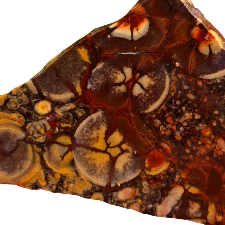 Lapidary Central - Wholesale Spiritual Stone/Crystal - Birdseye Rhyolite Slab - Dominant Purple with Orbicular Eyes1