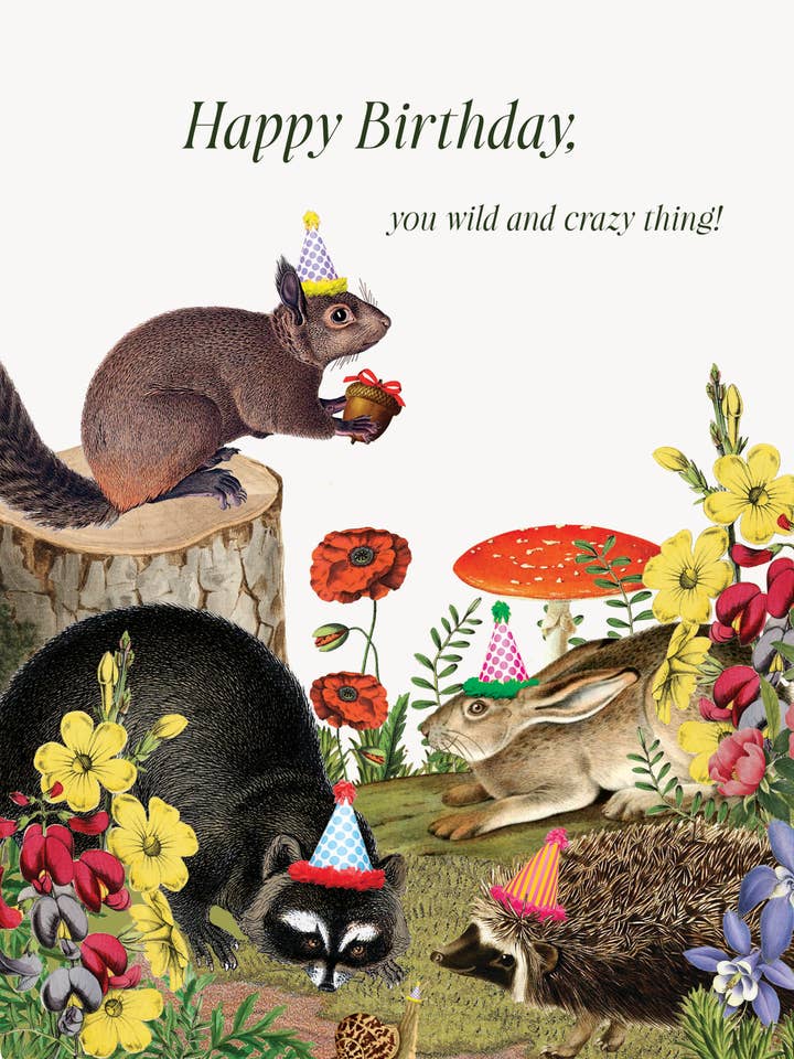 Happy Birthday you wild and crazy thing 5x7 greeting card for wholesale by P. Flynn Design / Phun House