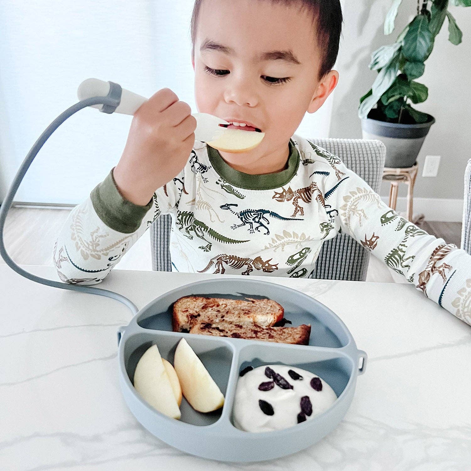 Jedbaby - Wholesale Dinner Plate - Kids & Baby - DropLess Plate - Silicone Suction Plate With Utensil Attachment6