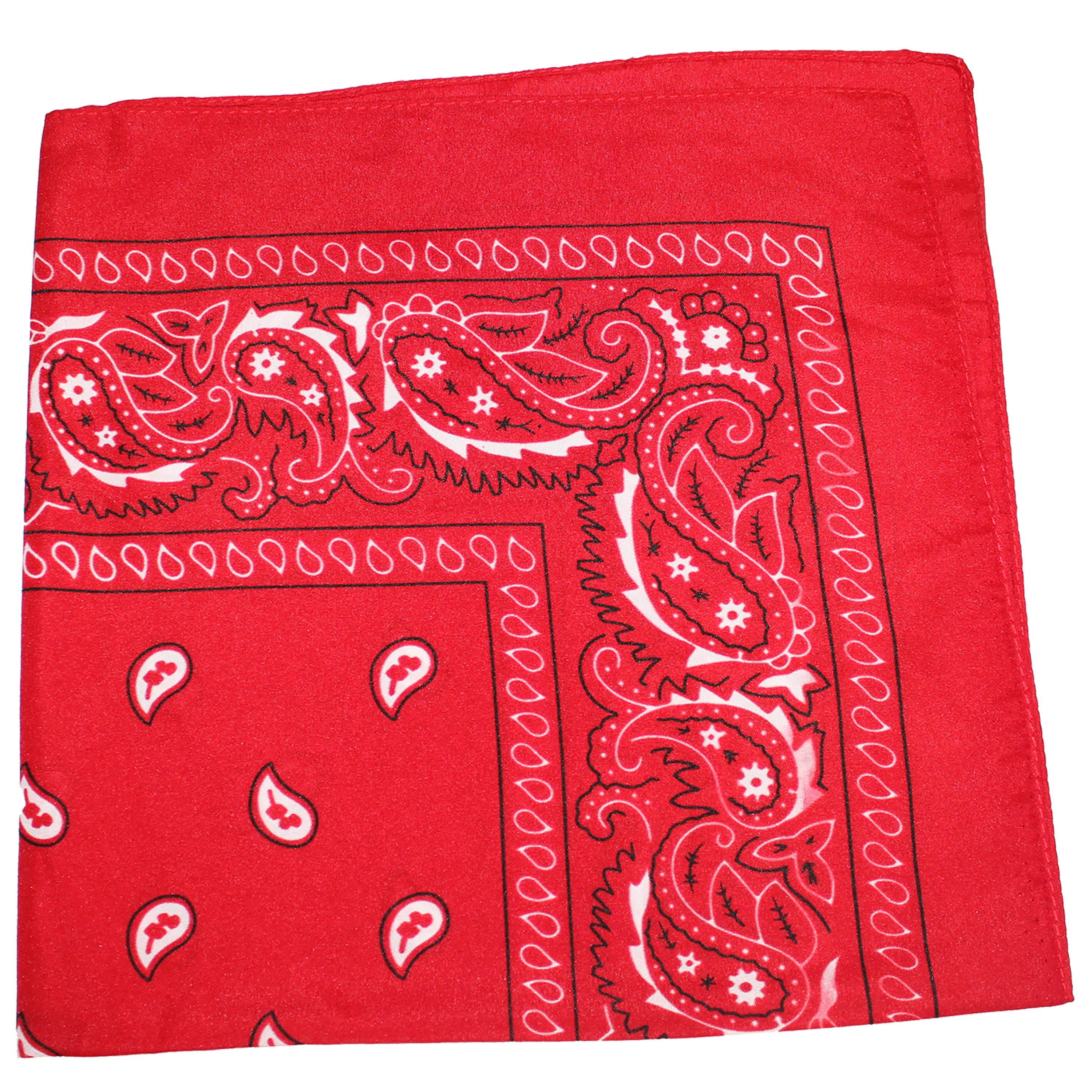 Bandanas Wholesale – wholesale Bandana – Unisex – Cotton XL Bandanas Paisley 27" x 27'  (Individually Packed)8
