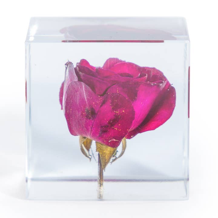 Pisapapeles de Rosa Real de Vidrio Acrílico Cuadrado con Caja de Regalo para venta al por mayor de McGowan & Rutherford Ltd