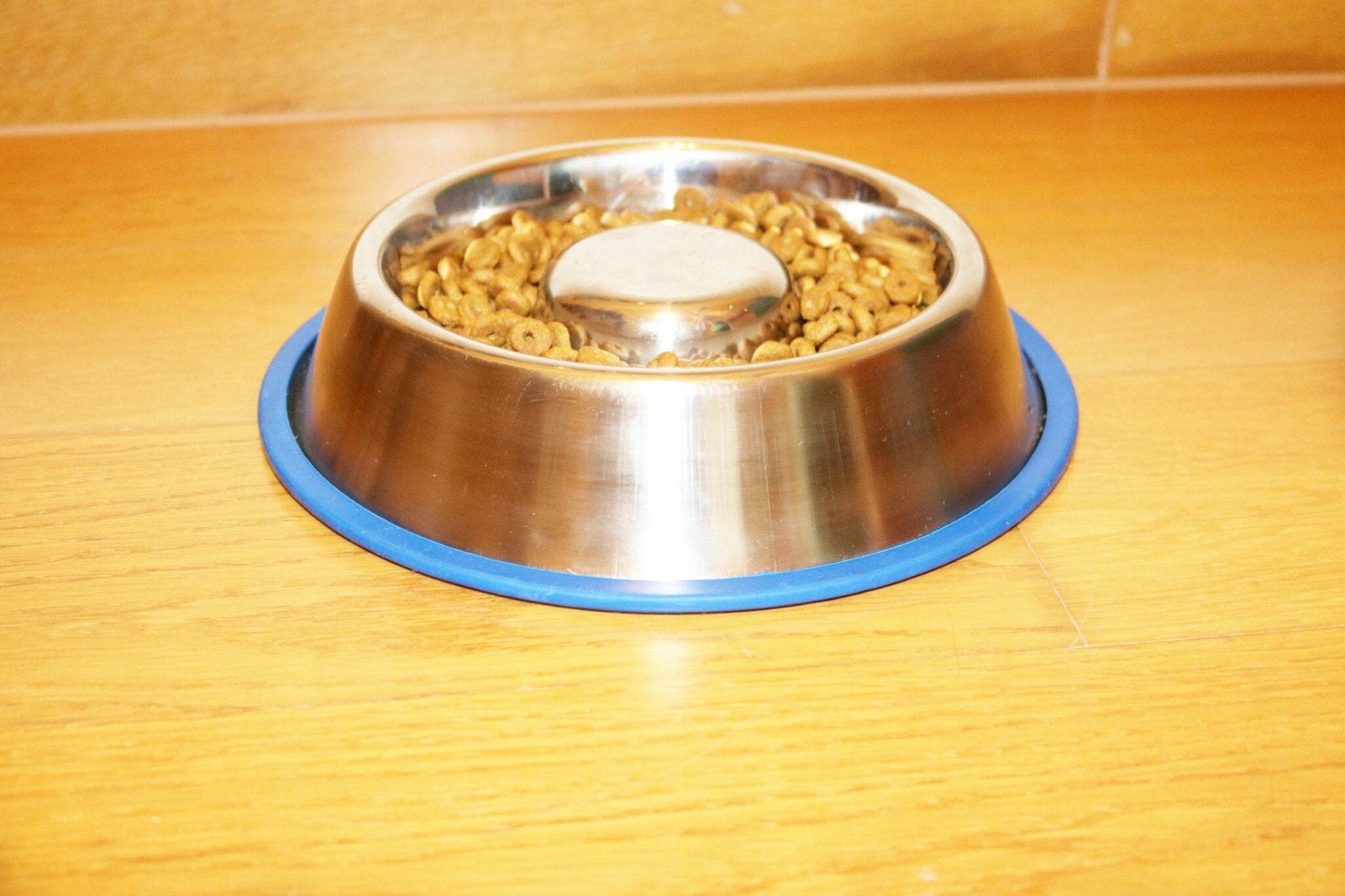 Mr. Peanut's - Wholesale Drinkbak - Kat/Hond - Mr. Peanut's Slow Feed Anti Bloat hondenbak met gebonden siliconen basis8