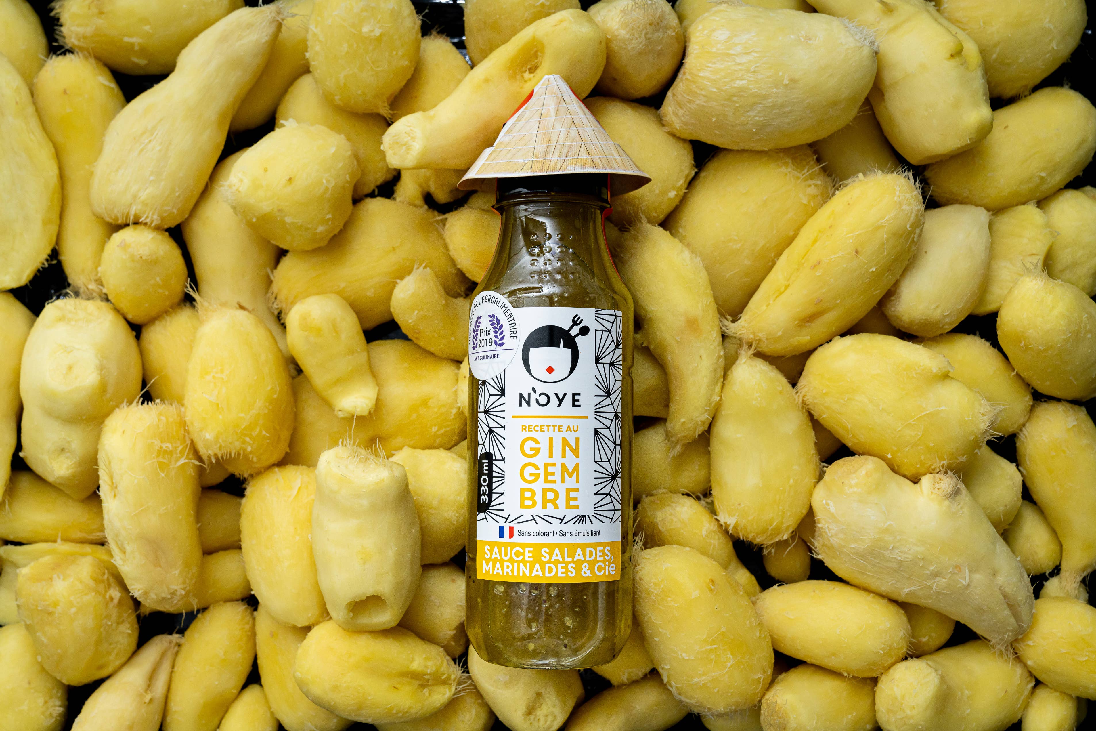 N'OYE - Vendita all'ingrosso Salse - SALSA E MARINATA ALLO ZENZERO N'OYE