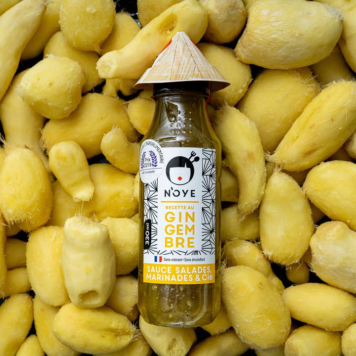 SALSA DE JENGIBRE N'OYE Y ADOBO para venta al por mayor de N'OYE