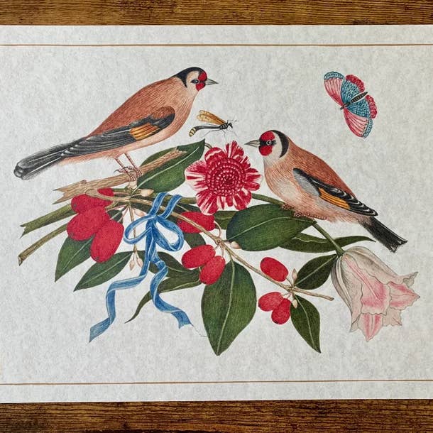 Magnifique Hearts - Wholesale Art Print - Ornithological Beautiful Botanical Bird Prints