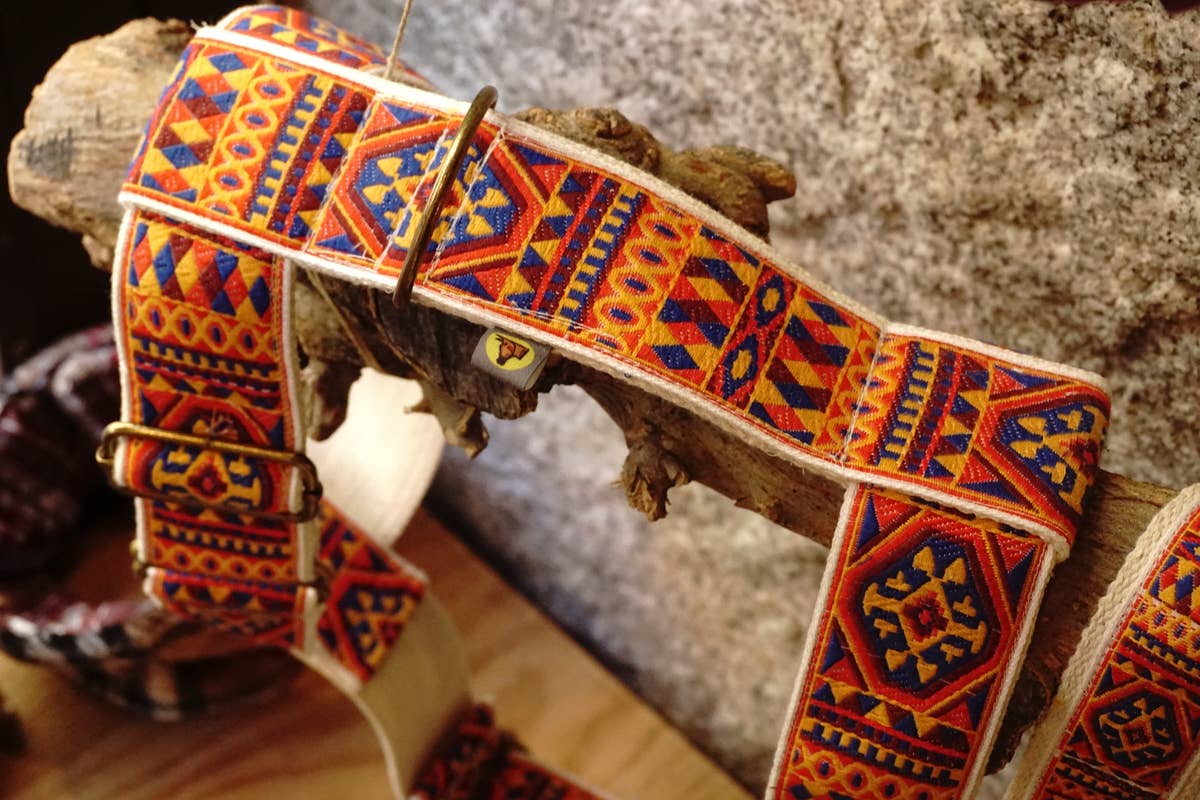 hundsfutter - Wholesale Pet Harness - Dog - "Ruben" dog harness and leash2