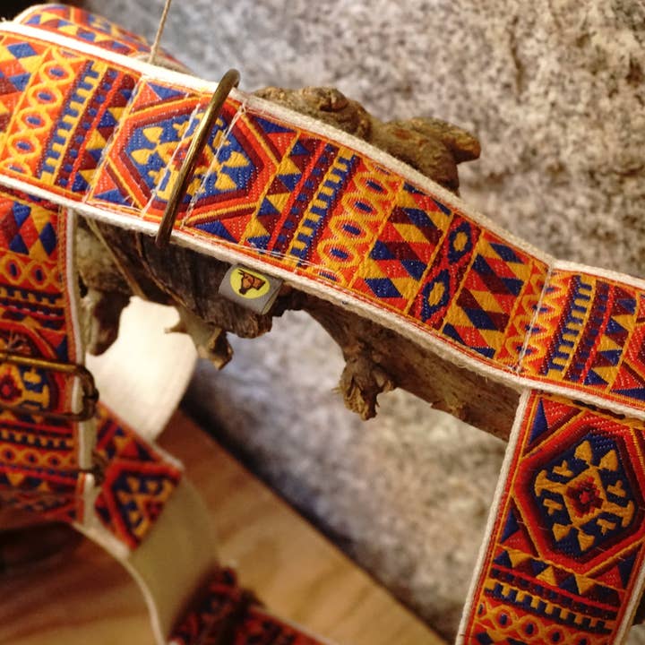 hundsfutter - Wholesale Pet Harness - Dog - "Ruben" dog harness and leash2