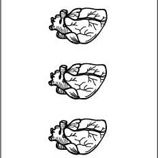 encredelicate - Wholesale Temporary Tattoo - Small temporary anatomical heart tattoo in black (set of2