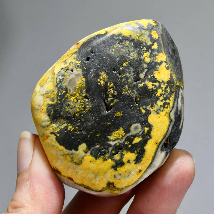 Large Bumblebee Jasper Crystal Palm Stone, Indonesia for wholesale by Caspar Curiosities