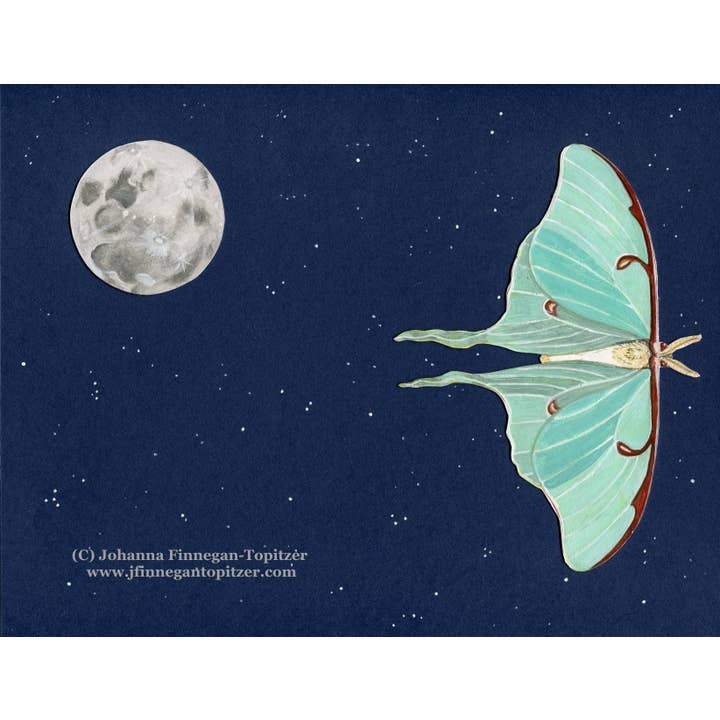 Johanna Finnegan-Topitzer - Wholesale Everyday Greeting Card - Luna Moth Blank Greeting Card, 4.25" x 5.5"2