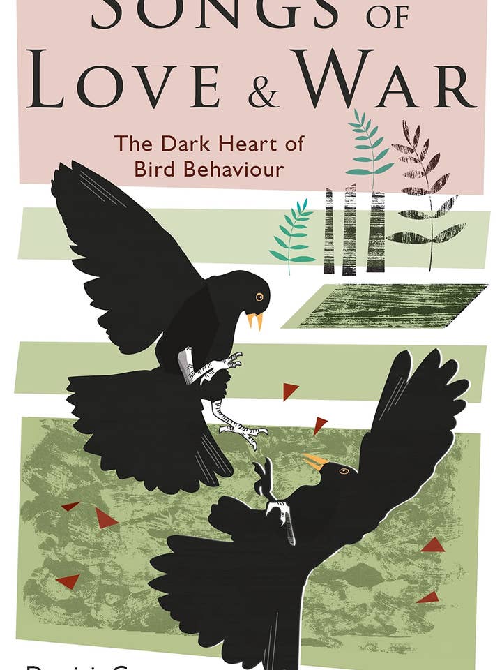 Canzoni d'Amore e Guerra: Cuore Oscuro del Comportamento degli Uccelli per la vendita all'ingrosso da parte di Boon Books