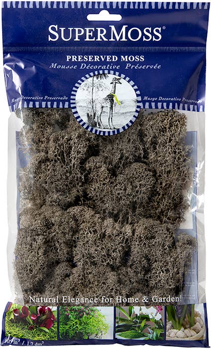 SuperMoss – Großhandel Pflanzen – SuperMoss Rentiermoos konserviert, 57 g Beutel8