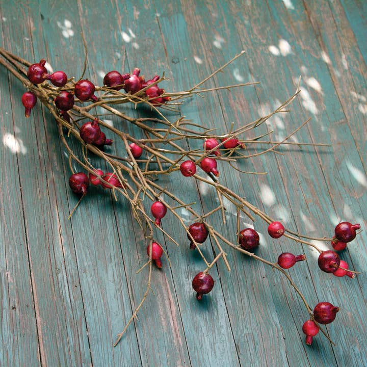 Pomegranate Branch for wholesale by Park Hill Collection