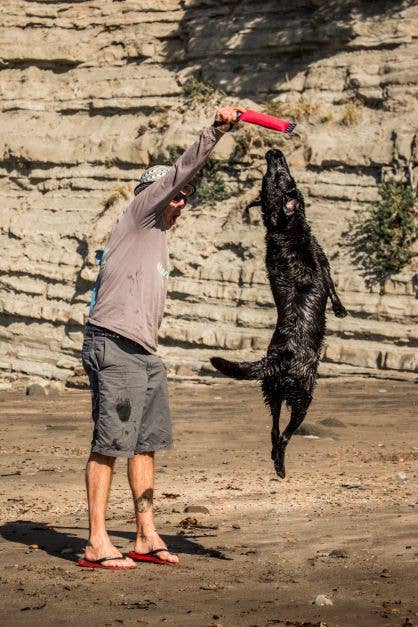 Katie's Bumpers – Engroshandel Pibelegetøj - Hund – Bedste hentlegetøj KB Sqwuggie6