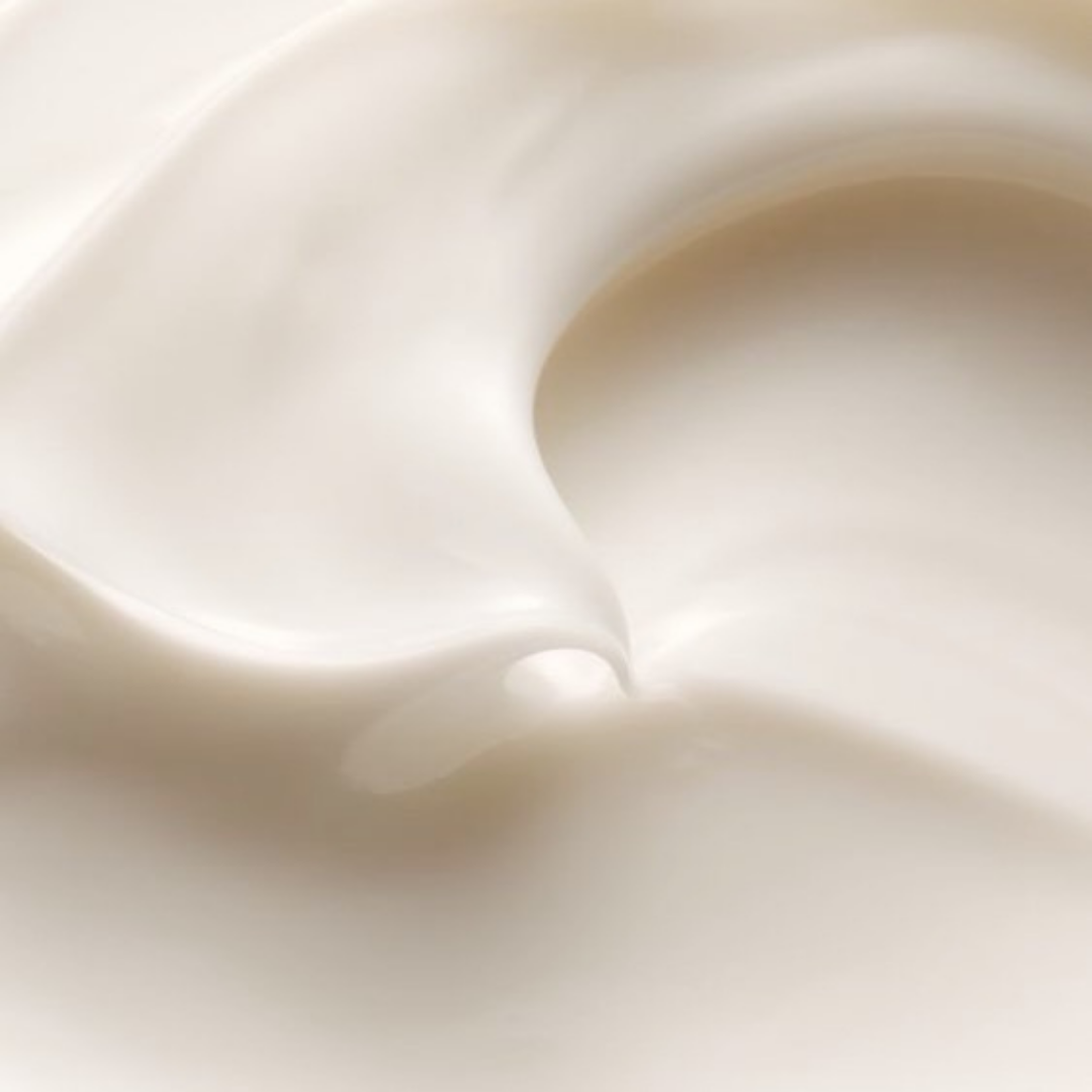 Alage - Venta al por mayor Cremas de noche - Crema facial de noche con bachukiol y vitamina E1