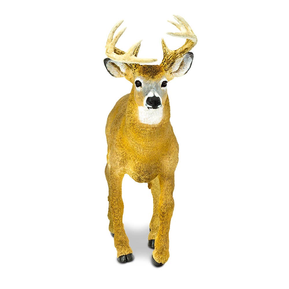 Safari Ltd. - Wholesale Figurine Toy - Kids - Whitetail Buck - 1135891