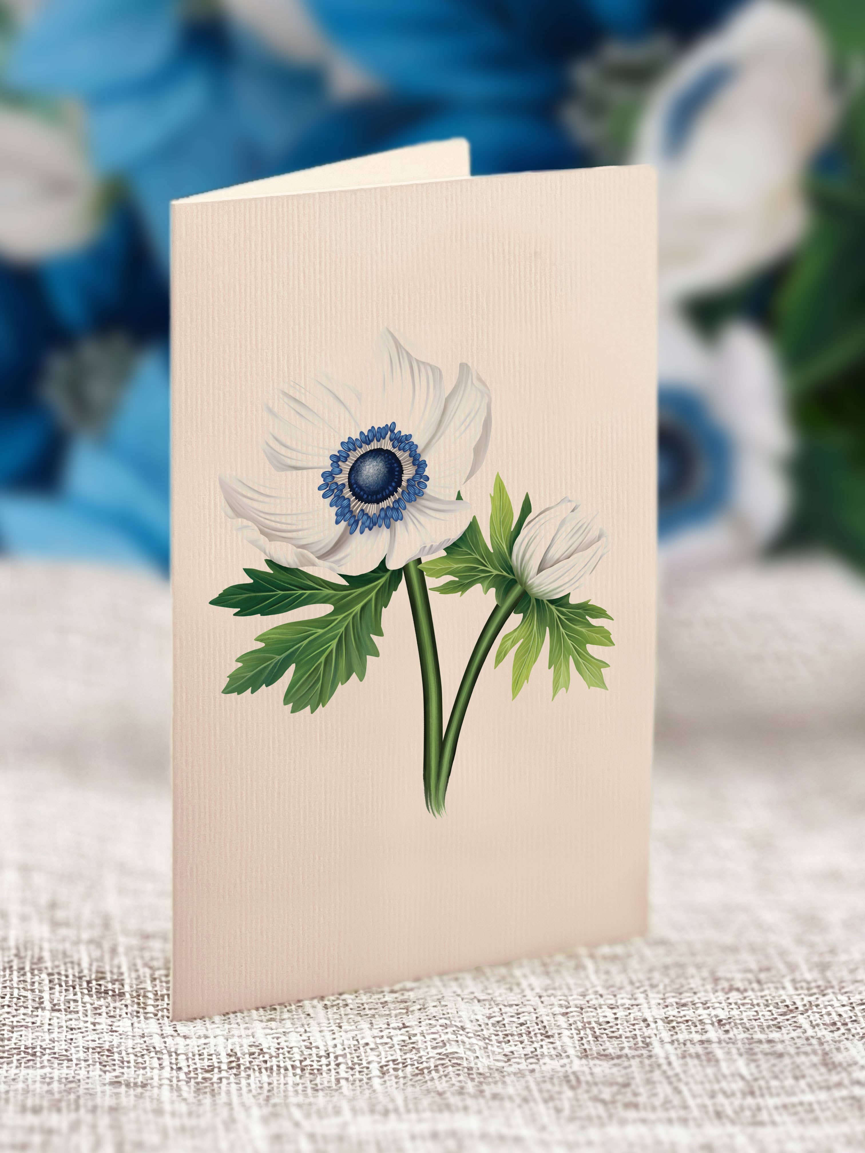 FreshCut Paper LLC - Venta al por mayor Tarjetas de felicitación - Flor de pascua azul (8 tarjetas de felicitación desplegables)3