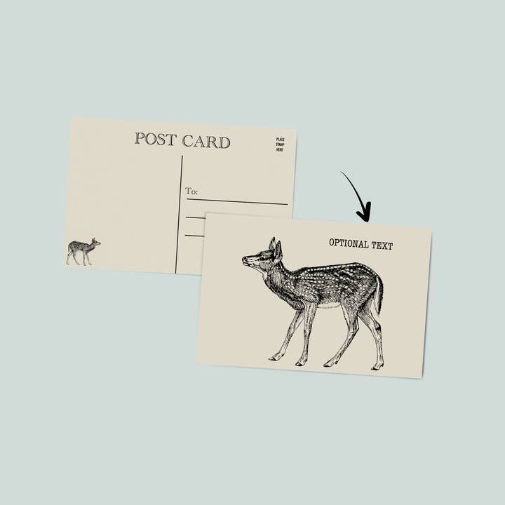 Woodland post card | deer post card for wholesale by Simply Northern