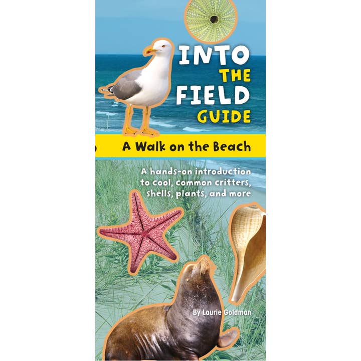 Simon & Schuster - Wholesale Book - Kids - Walk on the Beach by Laurie Goldman