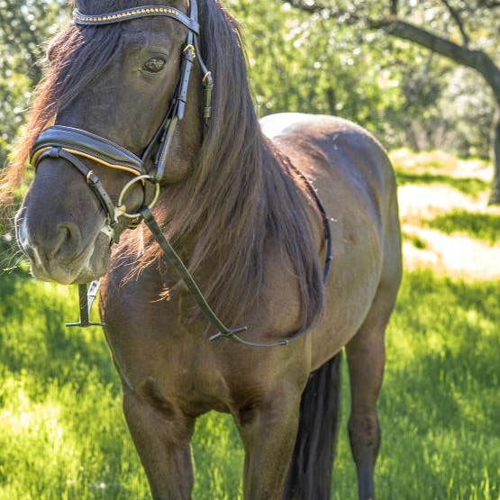 Rose Gold Radiance Bridle for wholesale on Faire