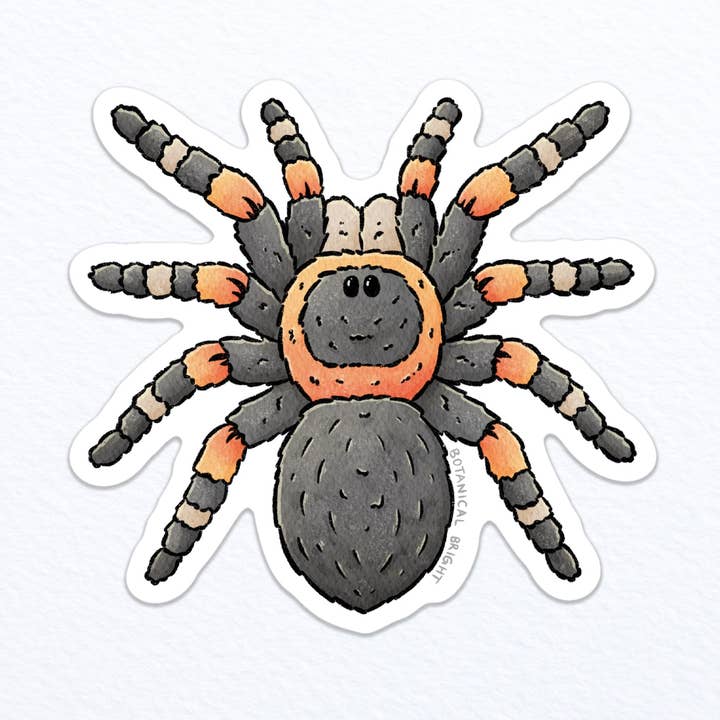 Tarantula Waterproof Vinyl Sticker for wholesale by Botanical Bright