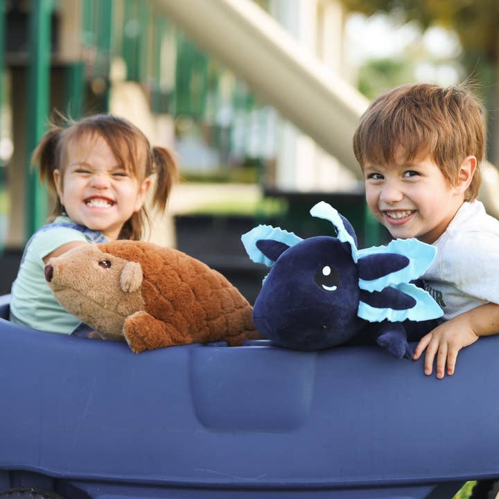 Axol & Friends - Wholesale Stuffed/Plush Toy - Kids & Baby - Pangolin Plush - 4lbs (1.75kg) Weighted1