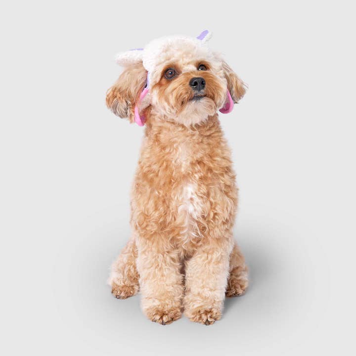 Canada Pooch - Wholesale Pet Hat - Dog - Cool Factor Aviator Hat 4