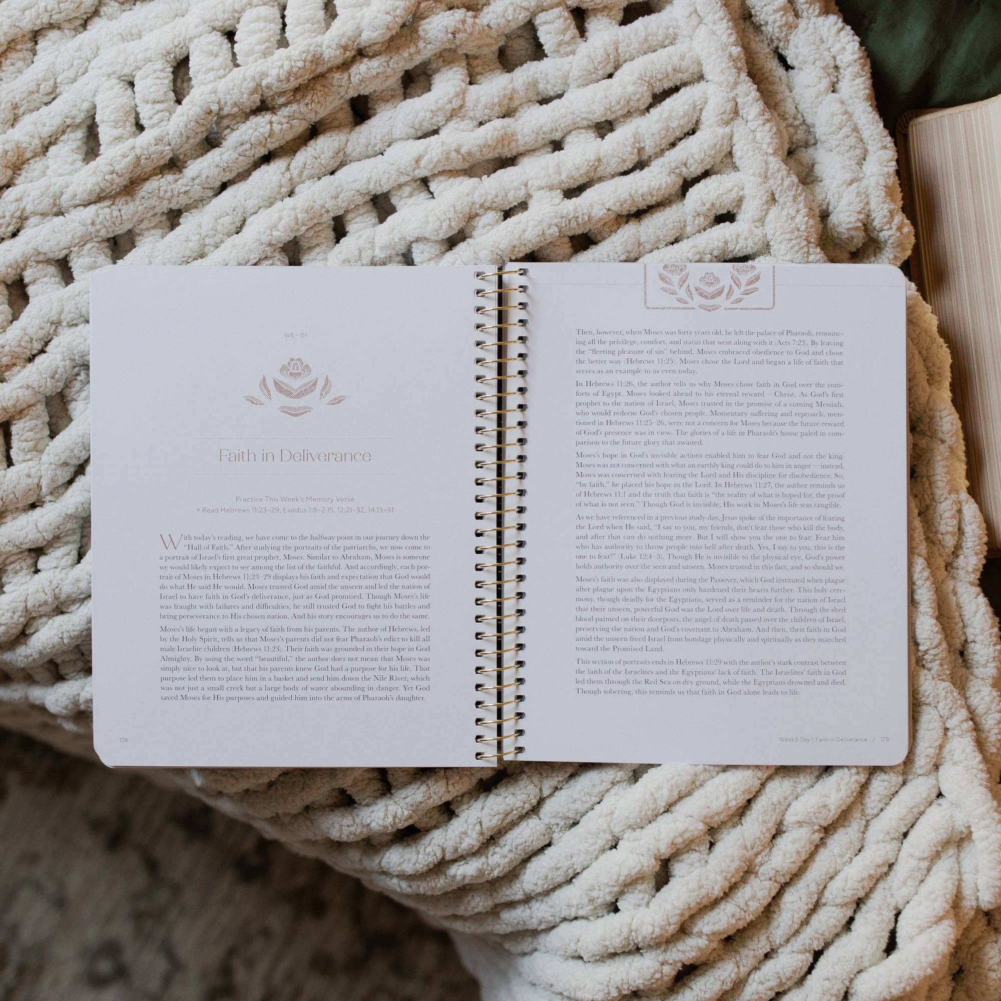 The Daily Grace Co - Wholesale Religion - Jesus is Better: Living for the One Who is Worthy | A Study on the Book of Hebrews6