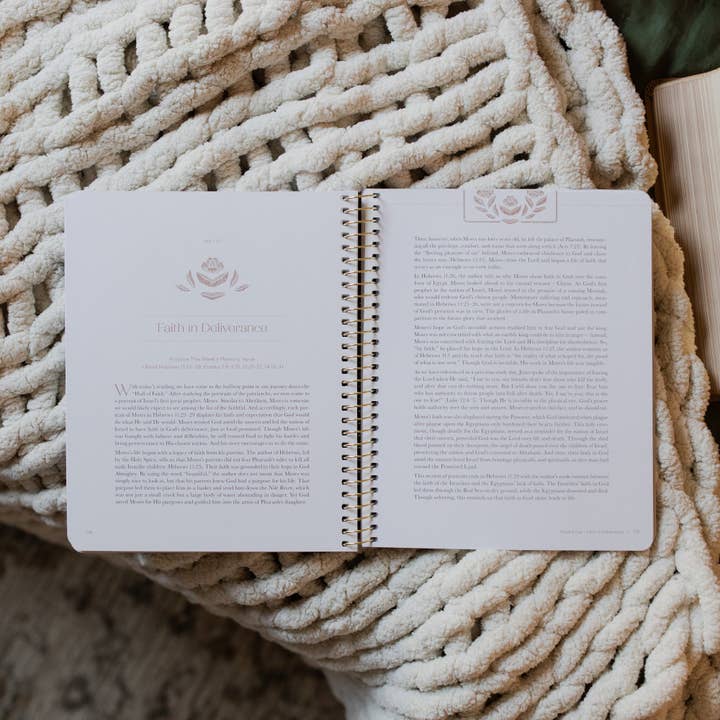 The Daily Grace Co - Wholesale Religion - Jesus is Better: Living for the One Who is Worthy | A Study on the Book of Hebrews6