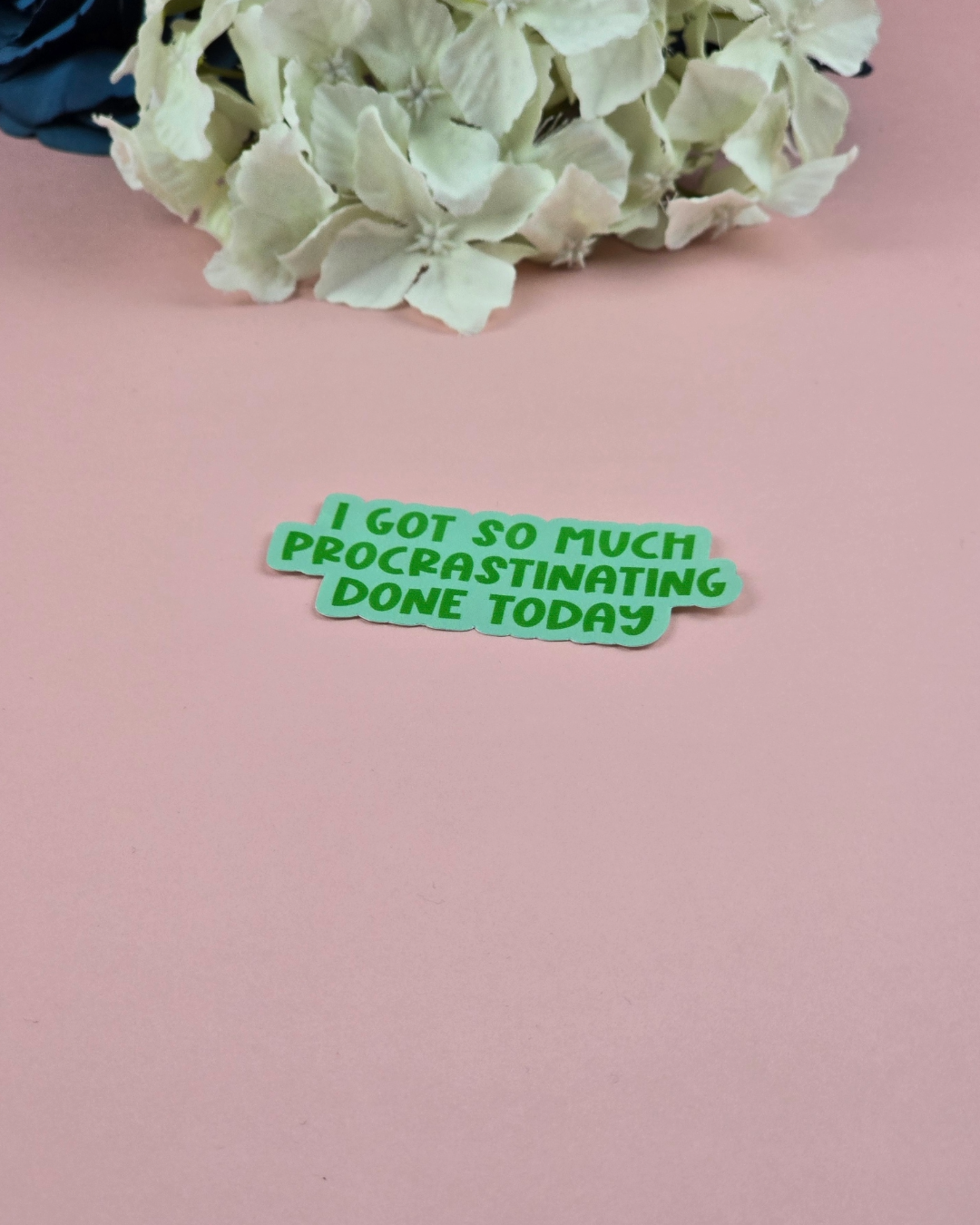 The Grumpy Tortoise - Wholesale Sticker - Waterproof Sticker - I got so much procrastinating done today - Sarcastic Sticker - Funny Sticker - Sassy2